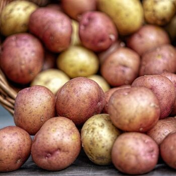 potatoes-4331742_960_720.jpg