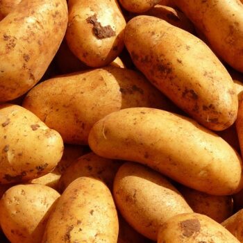 potatoes-5796_960_720.jpg