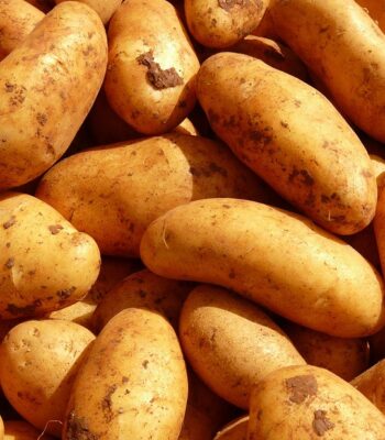 potatoes-5796_960_720.jpg