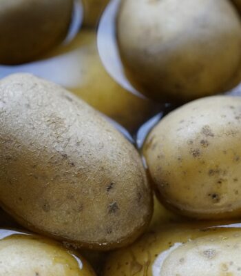 potatoes-8474361_960_720.jpg