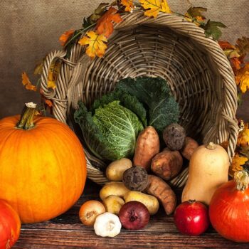 pumpkin-1768857_960_720.jpg