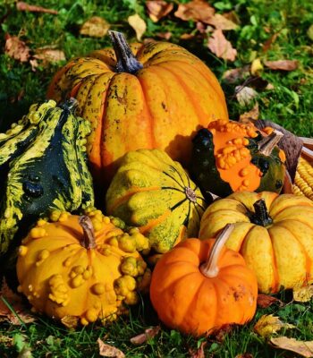 pumpkins-1712841_960_720.jpg