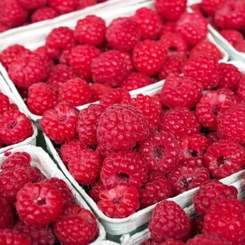 raspberries-1465988_960_720.jpg
