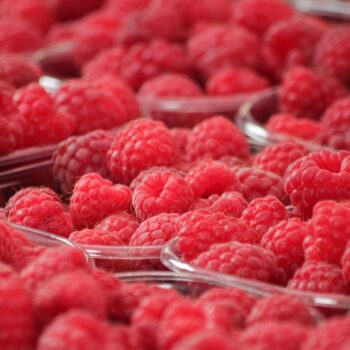raspberries-378259_960_720.jpg