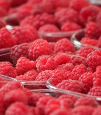 raspberries-378259_960_720.jpg