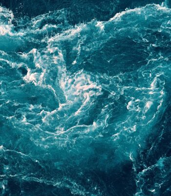 sea-5429002_960_720.jpg