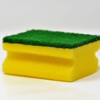 sponge-3081410_960_720.jpg