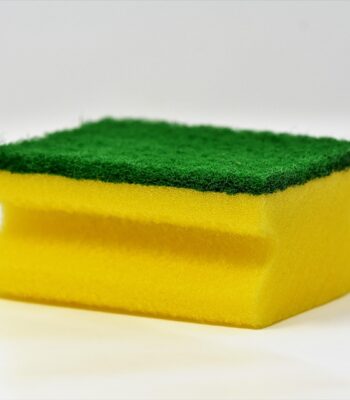 sponge-3081410_960_720.jpg