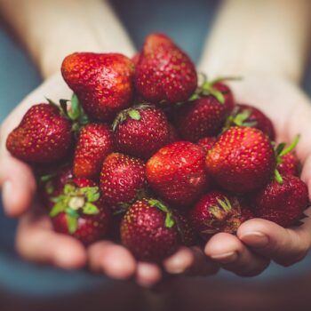strawberries-1835934_960_720.jpg