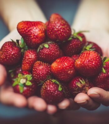 strawberries-1835934_960_720.jpg