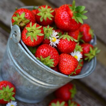 strawberries-3431122_960_720.jpg