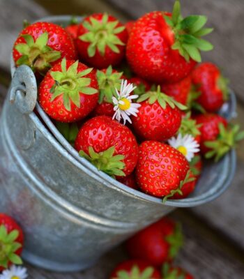 strawberries-3431122_960_720.jpg