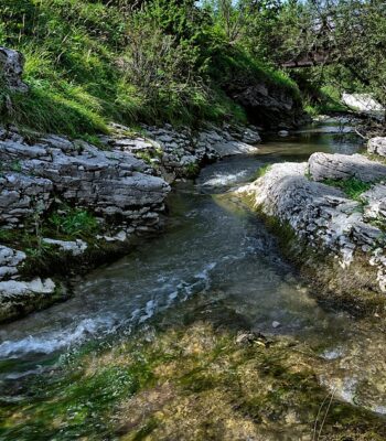 stream-3645748_960_720.jpg