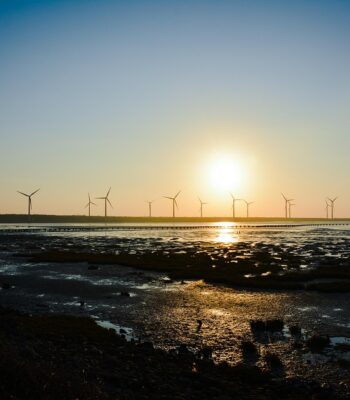 sunset-4798739_960_720.jpg