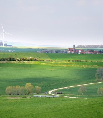 sustainable-development-4137481_960_720.jpg