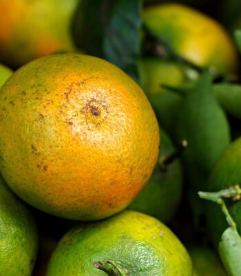tangerine-8886641_960_720.jpg