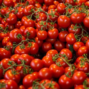 tomatoes-8181194_960_720.jpg