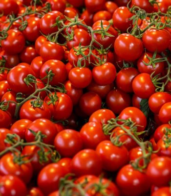 tomatoes-8181194_960_720.jpg