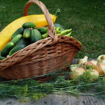 vegetables-6818428_960_720.jpg