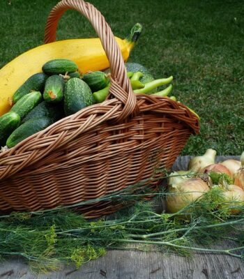 vegetables-6818428_960_720.jpg