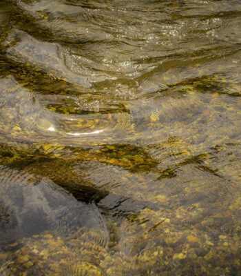 water-1545413_960_720.jpg