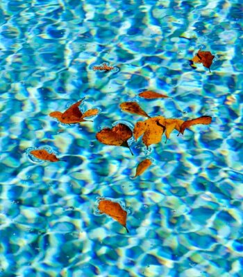 water-1796190_960_720.jpg