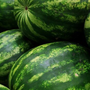 watermelons-5318938_960_720.jpg