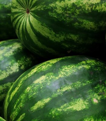 watermelons-5318938_960_720.jpg