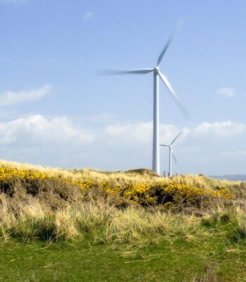 wind-15280_960_720.jpg