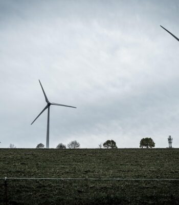 wind-4807309_960_720.jpg