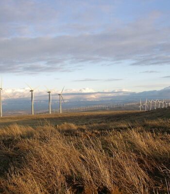 wind-69215_960_720.jpg
