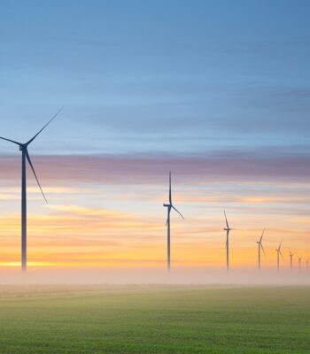 wind-energy-7394705_960_720.jpg