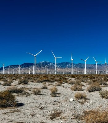 wind-farm-1771238_960_720.jpg