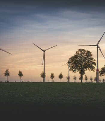wind-power-plant-5239642_960_720.jpg