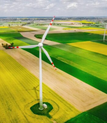 windmill-6307058_960_720.jpg