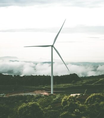windmill-7367963_960_720.jpg