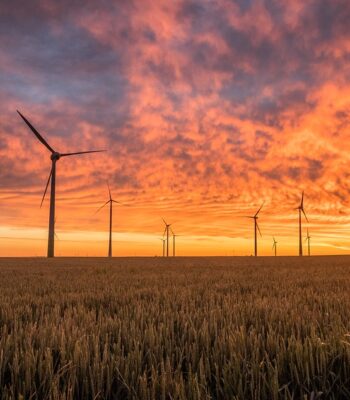 windmills-1838788_960_720.jpg