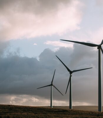 windmills-2181904_960_720.jpg