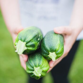 zucchinis-1869941_960_720.jpg