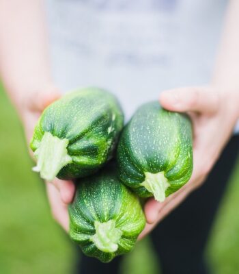 zucchinis-1869941_960_720.jpg